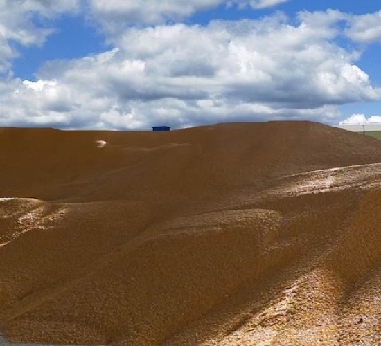 臺(tái)安稷豐糧食經(jīng)銷有限公司
