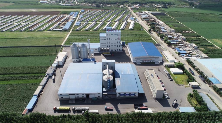 凌海九股河飼料有限公司